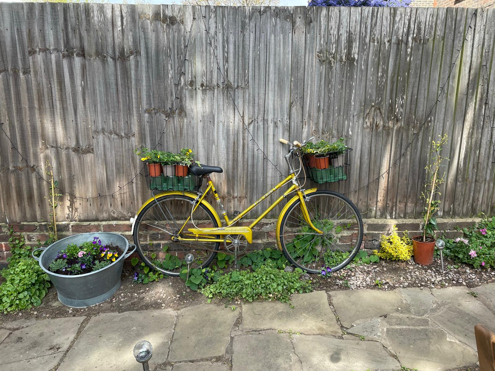 A picture of a bike in a garden with several plant pots in its front and back baskets