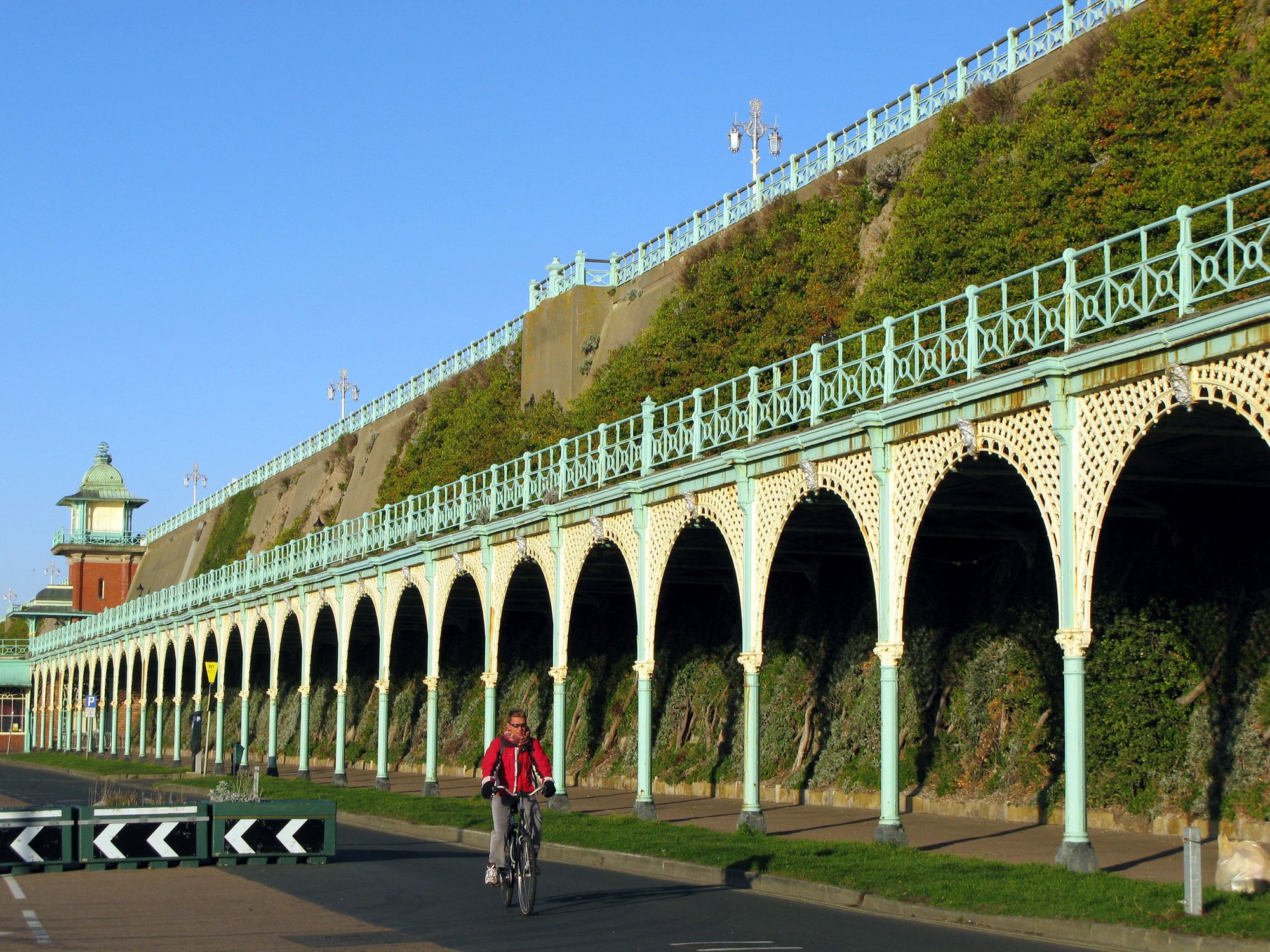 Picture of the Madeira Terrace Green Wall from 2008