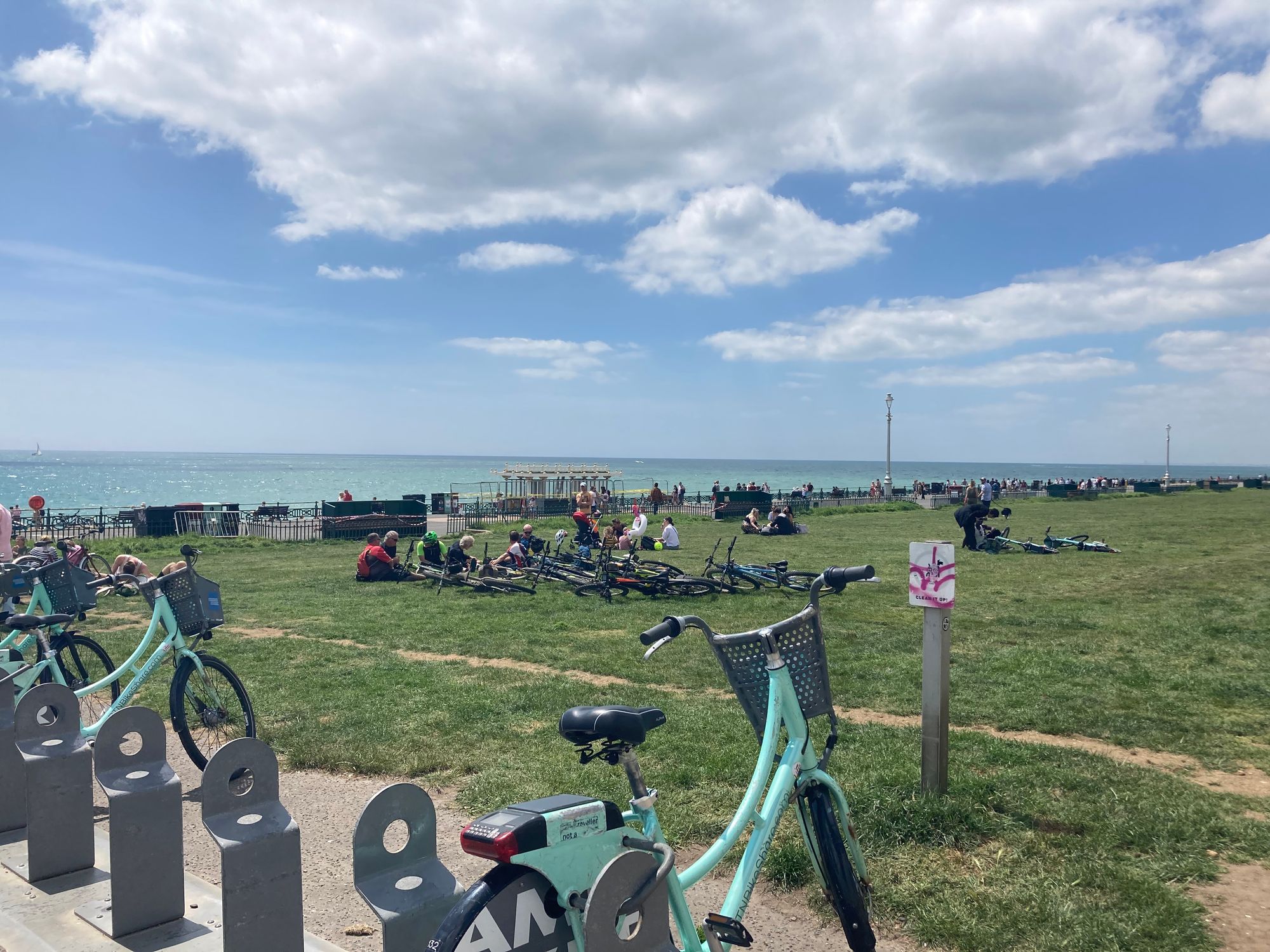 A picture of some of the BikeShare bikes by Hove Lawns
