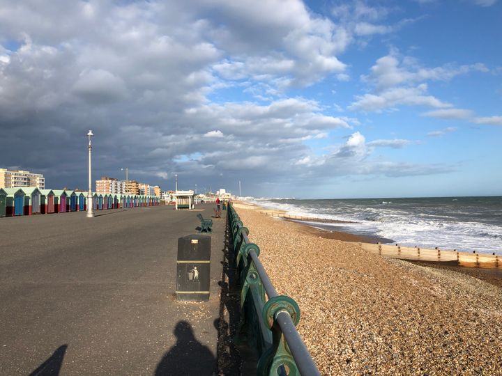 A photo of Brighton seafront from Hove Lawns.