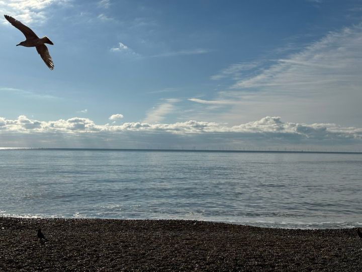 Picture of the beach with the wind farm in the distance