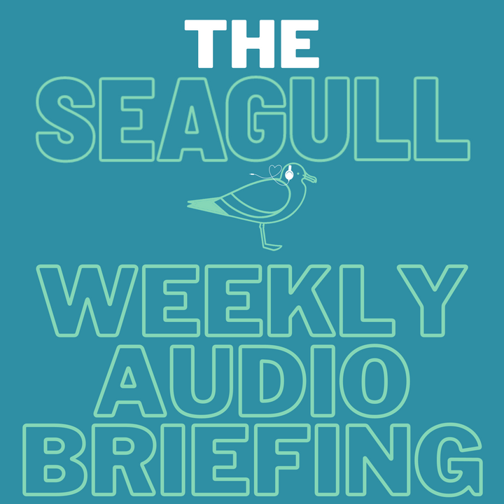 Seagull Weekly Audio Briefing 17/04