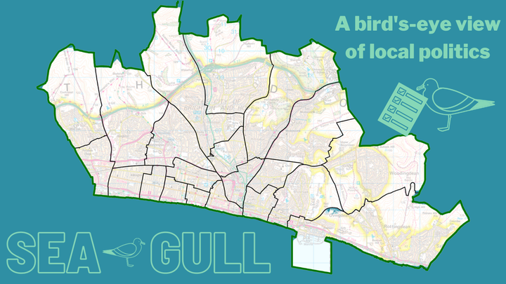 The Brighton Seagull's guide to the General Election 2024