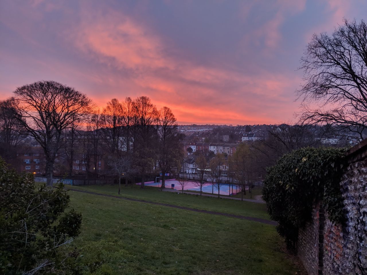 Picture of a sunset over Saunders Park